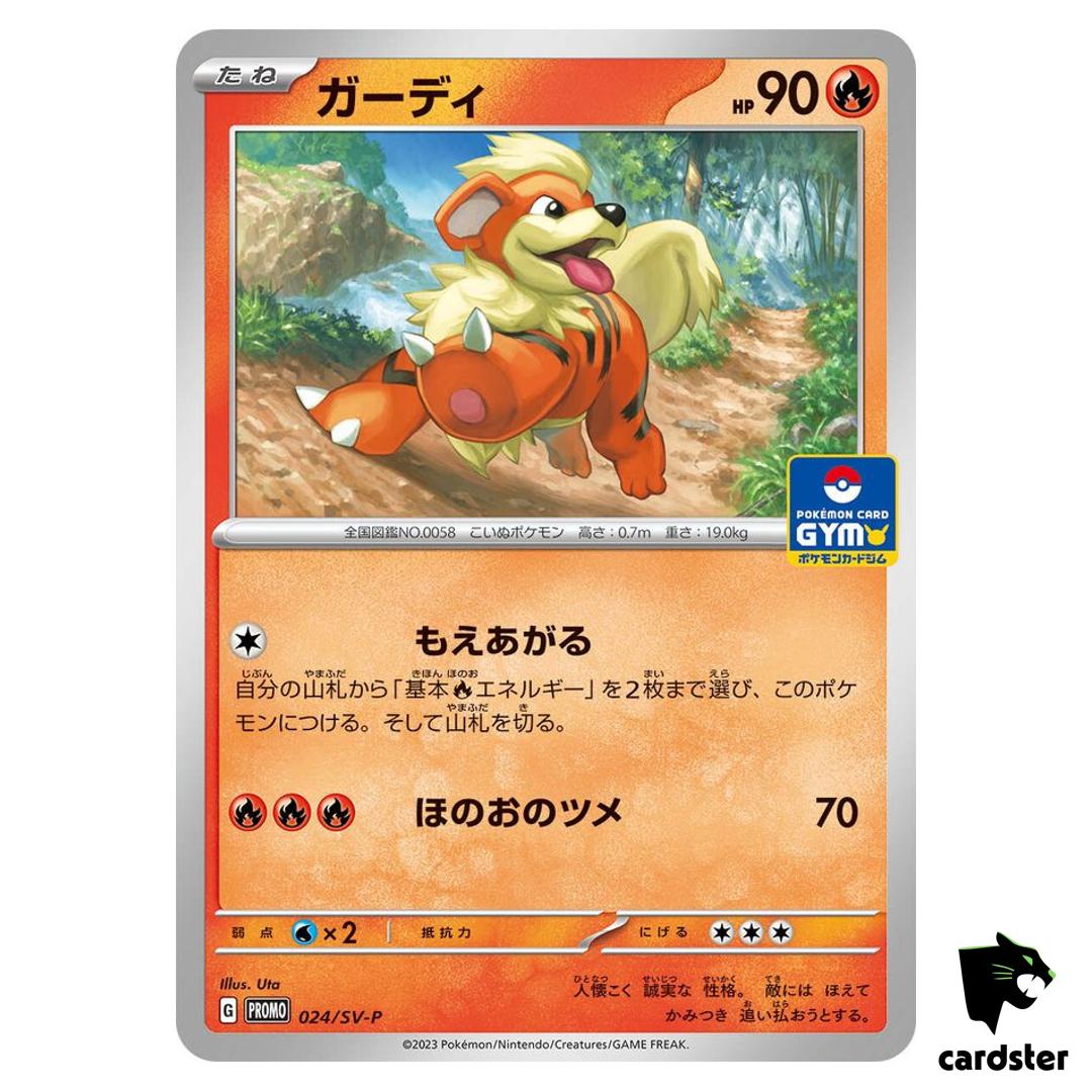 Growli024/SV-P GYM PROMO Pokemon Card Japan Scarlet Violet
