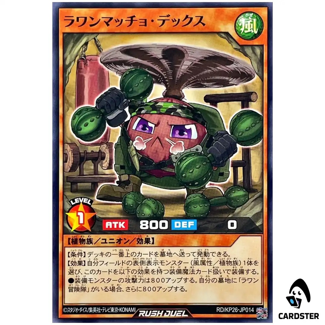 Lauan Macho Dex RD/KP26-JP014 [N] Headliner of Reigning Yugioh Rush Duel Japan