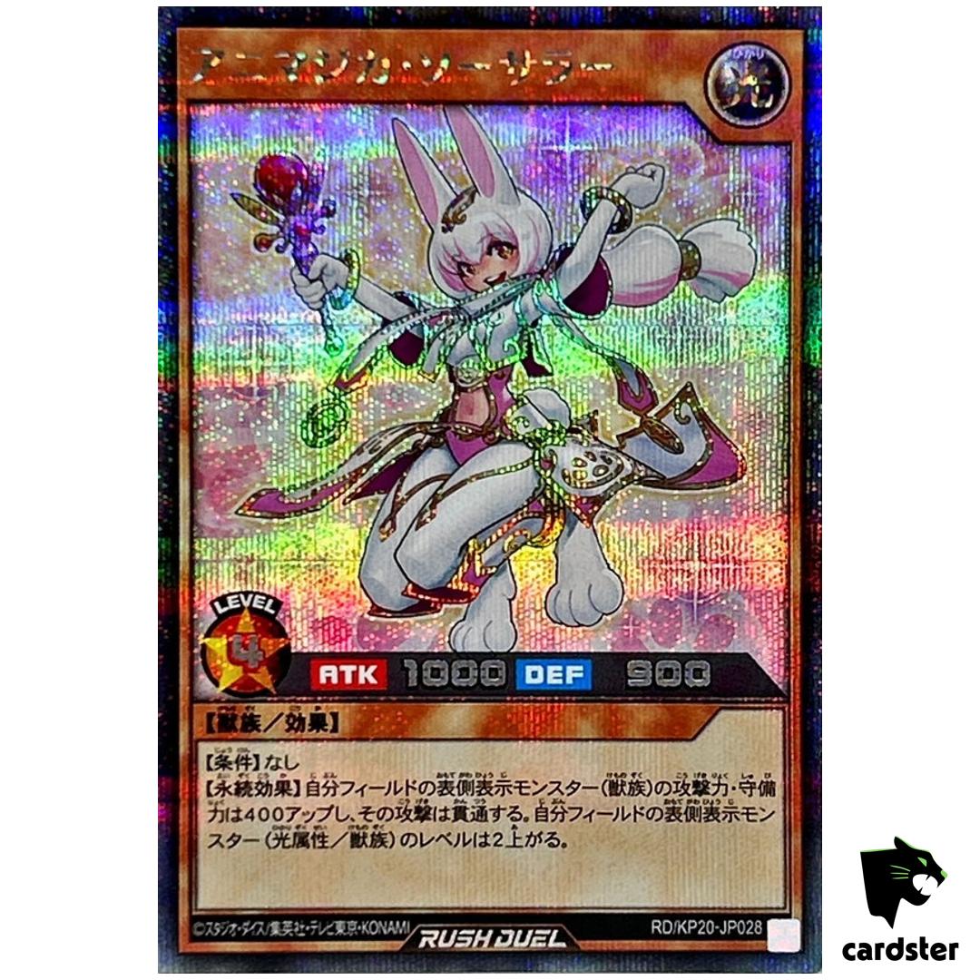 Animagica Sorcerer [Pink background] RD/KP20-JP028 [ScR] Yugioh Rush Duel