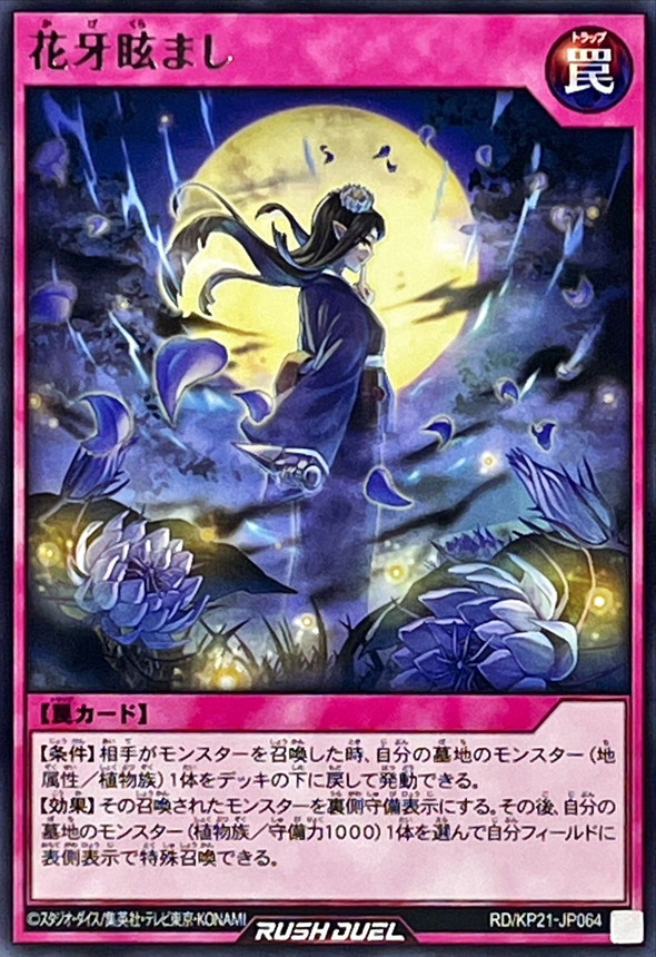 Shadow Flower Bedazzlement RD/KP21-JP064 [R] Accel Road Yugioh Rush Duel