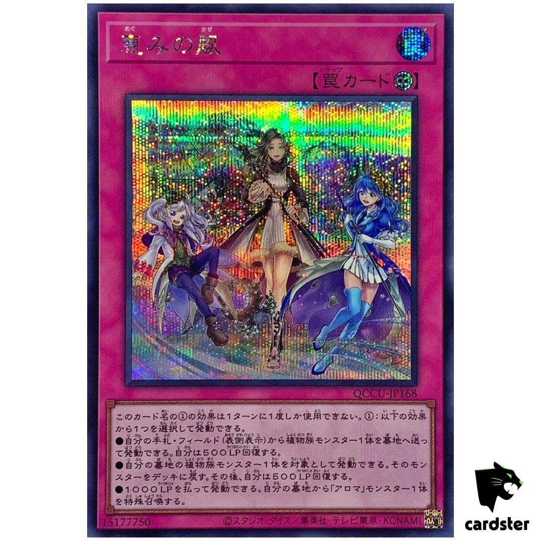 Blessed Winds – Secret Rare QCCU-JP168 [ScR] 25th Century side Unity Yugioh