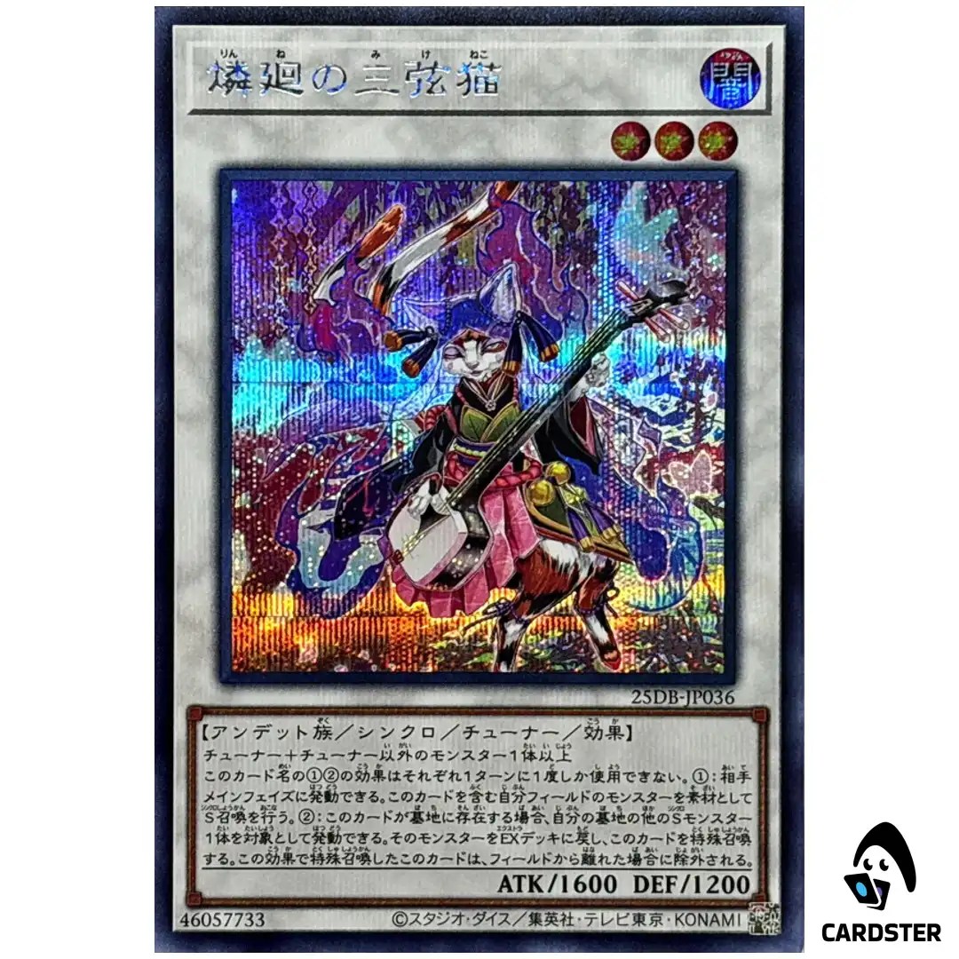 Shamisen Samsara Sorrowcat 25DB-JP036 [SCR] Secret Prismatic Summon Yugioh JP