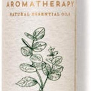 Bath and Body Works Body Care Aromatherapy -TRAVEL SIZE – Essential Oil Mist 1 fl oz – Many Scents! (Stress Relief – Eucalyptus + Spearmint)