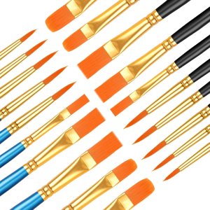 20 Pcs Paint Brushes, Paint Brush Set, Paint Brushes for Acrylic Painting, Watercolor Brushes, Acrylic Paint brushes for Acrylic Oil Watercolor, Miniature Detailing, and Rock Painting
