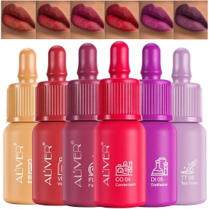 6pcs Liquid Lipsticks,Waterproof Lasting Lipstick Gift Set,High Pigment Lipsticks Professional Lip Stain Lip Gloss Lip Stain
