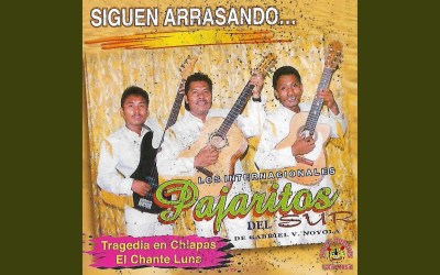 La revolución del rock de alpargata en el Luna Lunera Sanmartinera: música, tradición y turismo rural en el Prepirineo La revolución del rock de alpargata en el Luna Lunera Sanmartinera: música, tradición y turismo rural en el Prepirineo