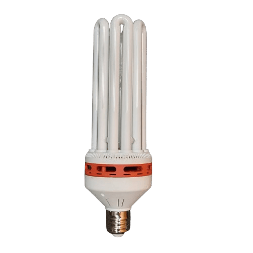 Compact Fluorescent Lamp In Box