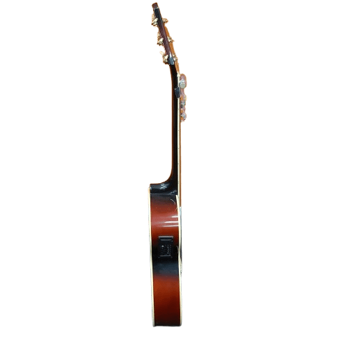 SX Guitar AEP239VS Brown With Soft Case.