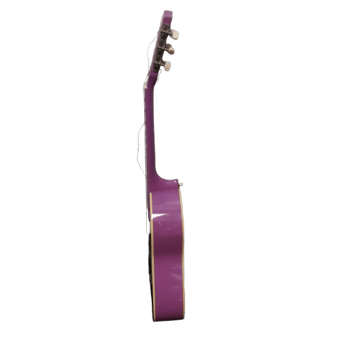 Grover Allman GS201PR The Simpson’s Pink Guitar