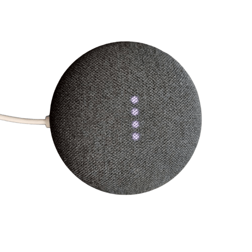 Google Nest Mini 2 H2C with Charger (LE)