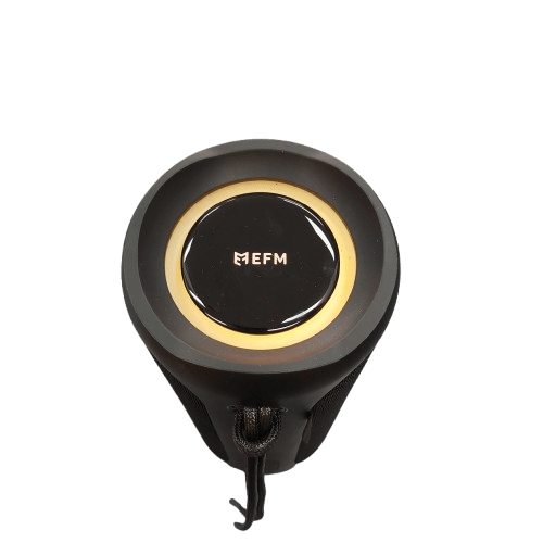 EFM Portable Bluetooth Speaker EFBSAPUL909PBL Black