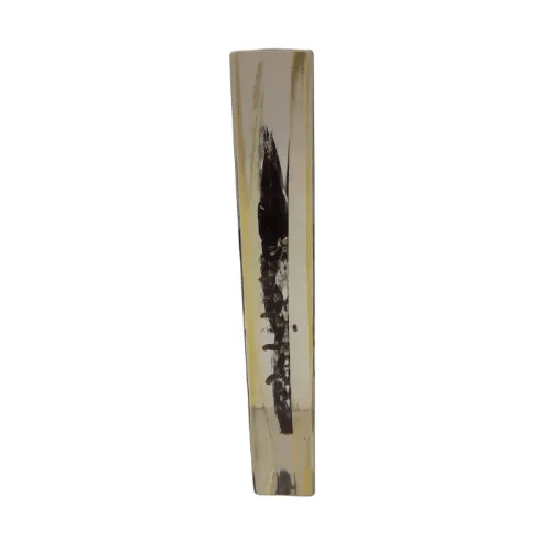 Taxidermied Afghanistan Scorpion in Clear Resin Display Block