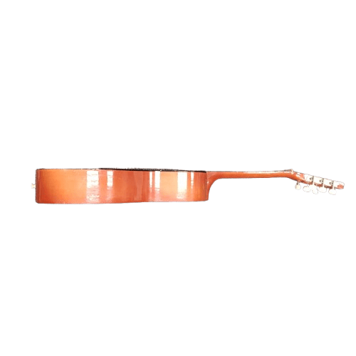 Generic Acoustic Guitar  No Case