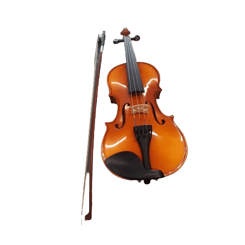 Artist Violin Leo In Case