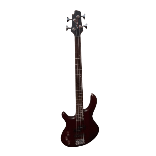 Cort Bass Guitar Action Left Handed With Hardcase