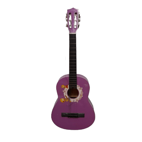 Grover Allman GS201PR The Simpson’s Pink Guitar