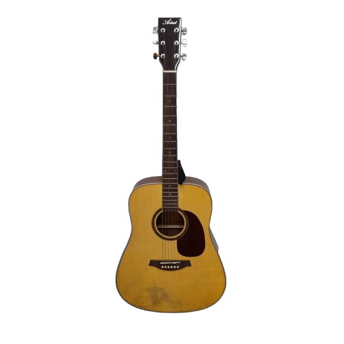 Artist LSPNT Acoustic Guitar with Soft Case