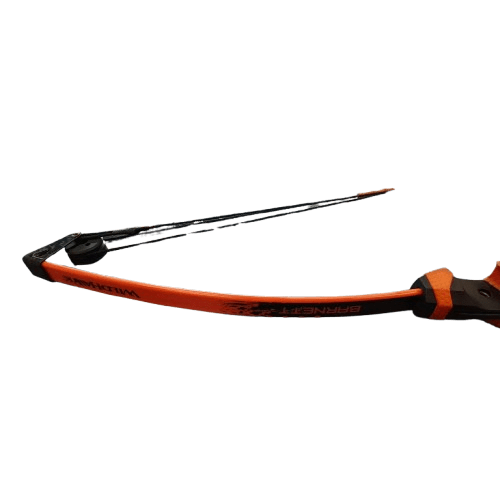 Barnett Wild Hawk Bow and Arrow