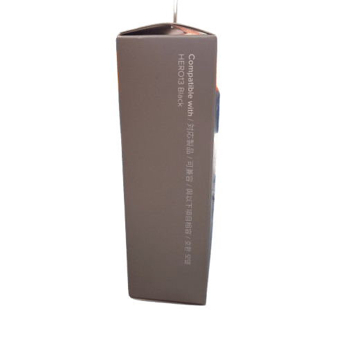 GoPro Battery Charger ACT1B