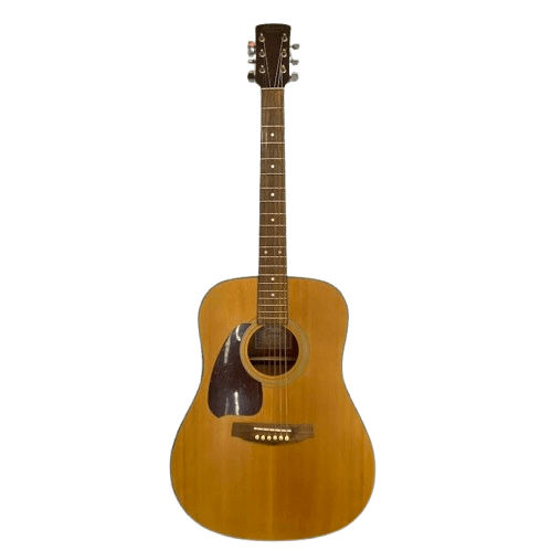Ibanez PF5LLG Acoustic Guitar – With Hard Carry Case.