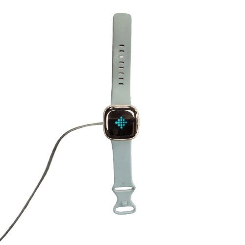 Fitbit Watch FB523SRAG-FRCJK With Charger