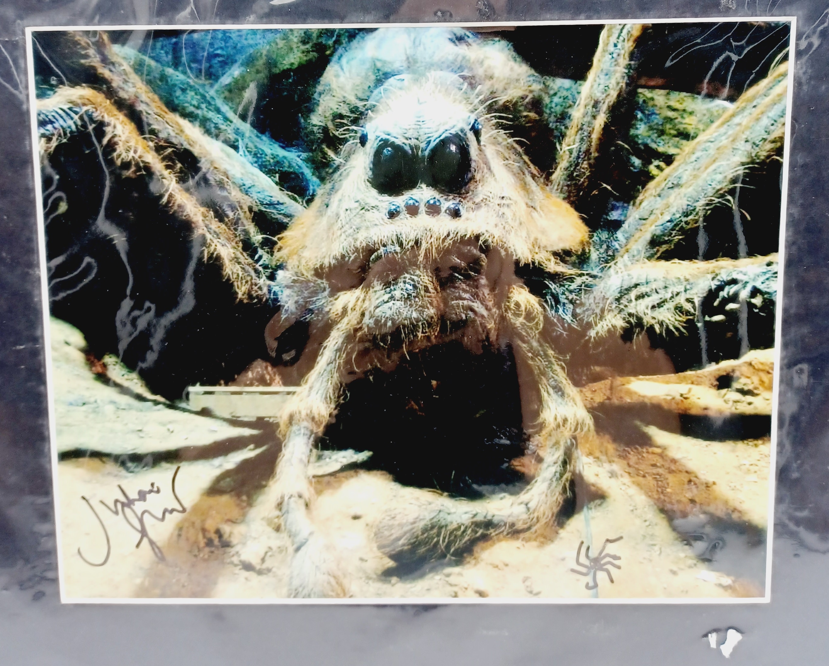 Aragon The Spider Voiced By Julian Glover Picture Signed
