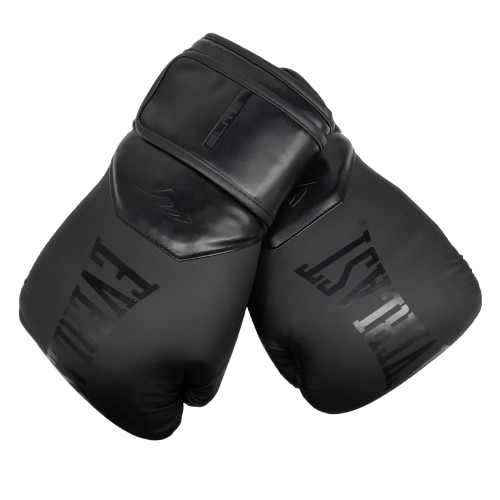Everlast Elite 2 Boxing Gloves Black 16oz