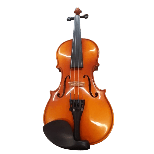 Artist Violin Leo In Case