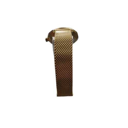 Mens Gold Cluse Watch  H53423