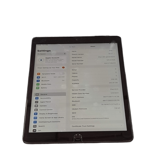 Apple Ipad 9th Gen Wifi And Cellular 256GB No Charger