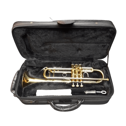 Wisemann Standard Bb Trumpet DTR-250 With Hard Carry Case (MR)