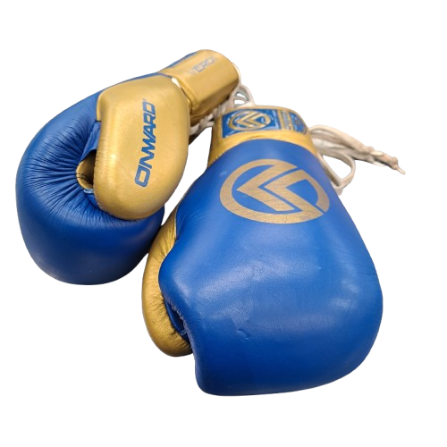 Vero Boxing Gloves