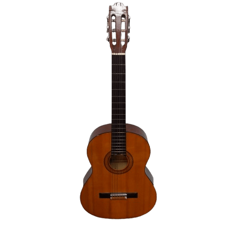 Valencia TC-40 Acoustic Guitar with Soft Case