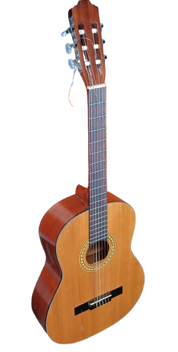 Norvaro Acoustic Guitar