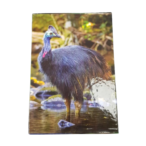 Australian Stamp Collection 2019 Book