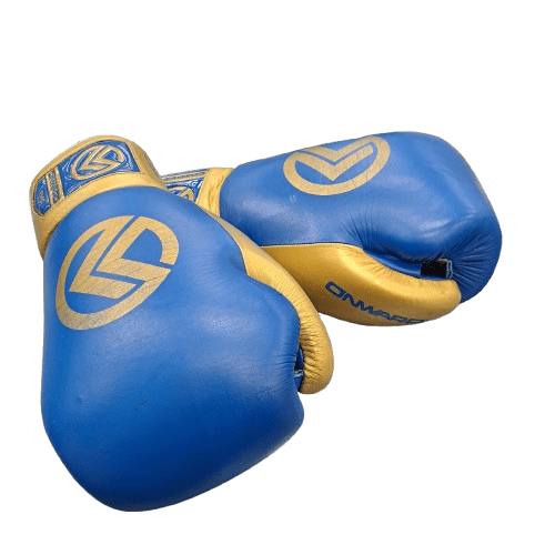 Vero Boxing Gloves