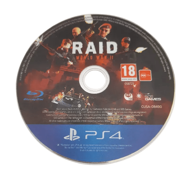 Raid: World War II Playstation 4 Video Game