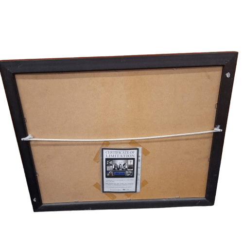 Nirvana Framed Signed Memorabillia 150/500 *Pick Up Only* (MR 1343011)