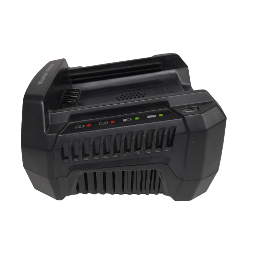 Briggs & Stratton 82V 2.0Ah Battery and BSRC82 Charger Kit (LN)