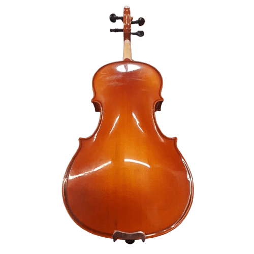 Artist Violin Leo In Case