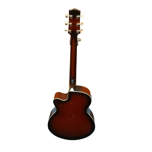 SX Guitar AEP239VS Brown With Soft Case.