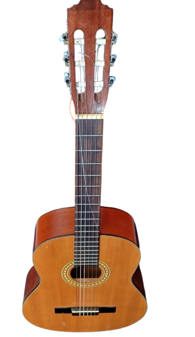 Norvaro Acoustic Guitar