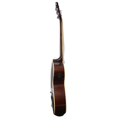 Monterey Acoustic Guitar MAC-25TNPAK (MR 1344414)