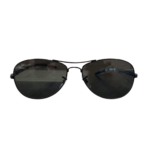 Ray-Ban RB8301 Sunglasses – Gunmetal Frame, Black Gradient Lenses – With Case (GE 1349412)