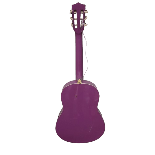 Grover Allman GS201PR The Simpson’s Pink Guitar