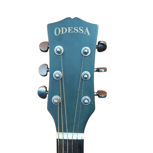 Odessa Guitar ODG-4111GR 1 Broken String **Pick Up Only**