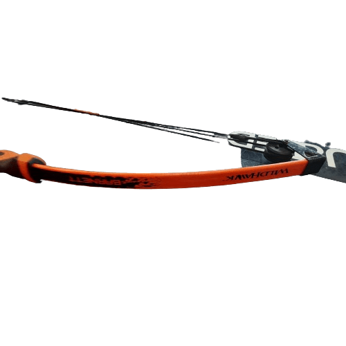 Barnett Wild Hawk Bow and Arrow