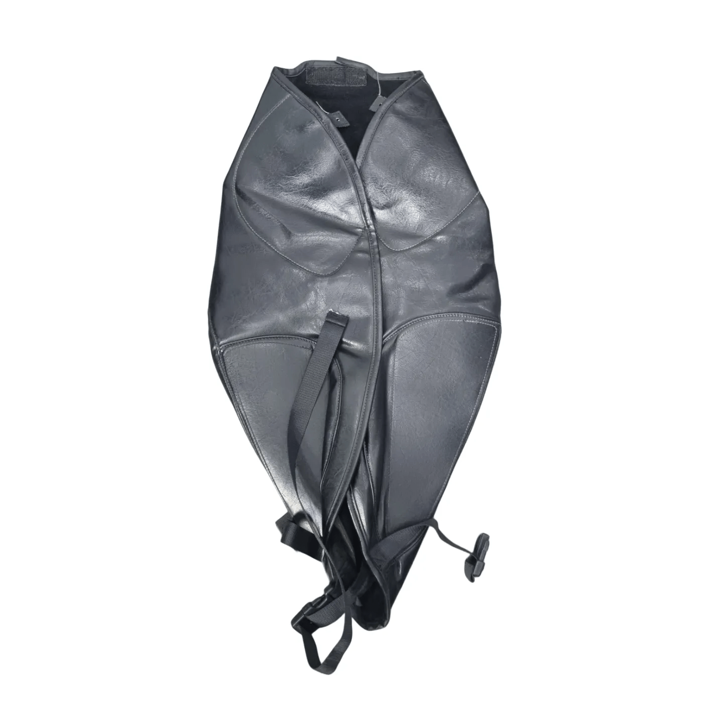 Triumph Engine Cover – Black – WR 1356211