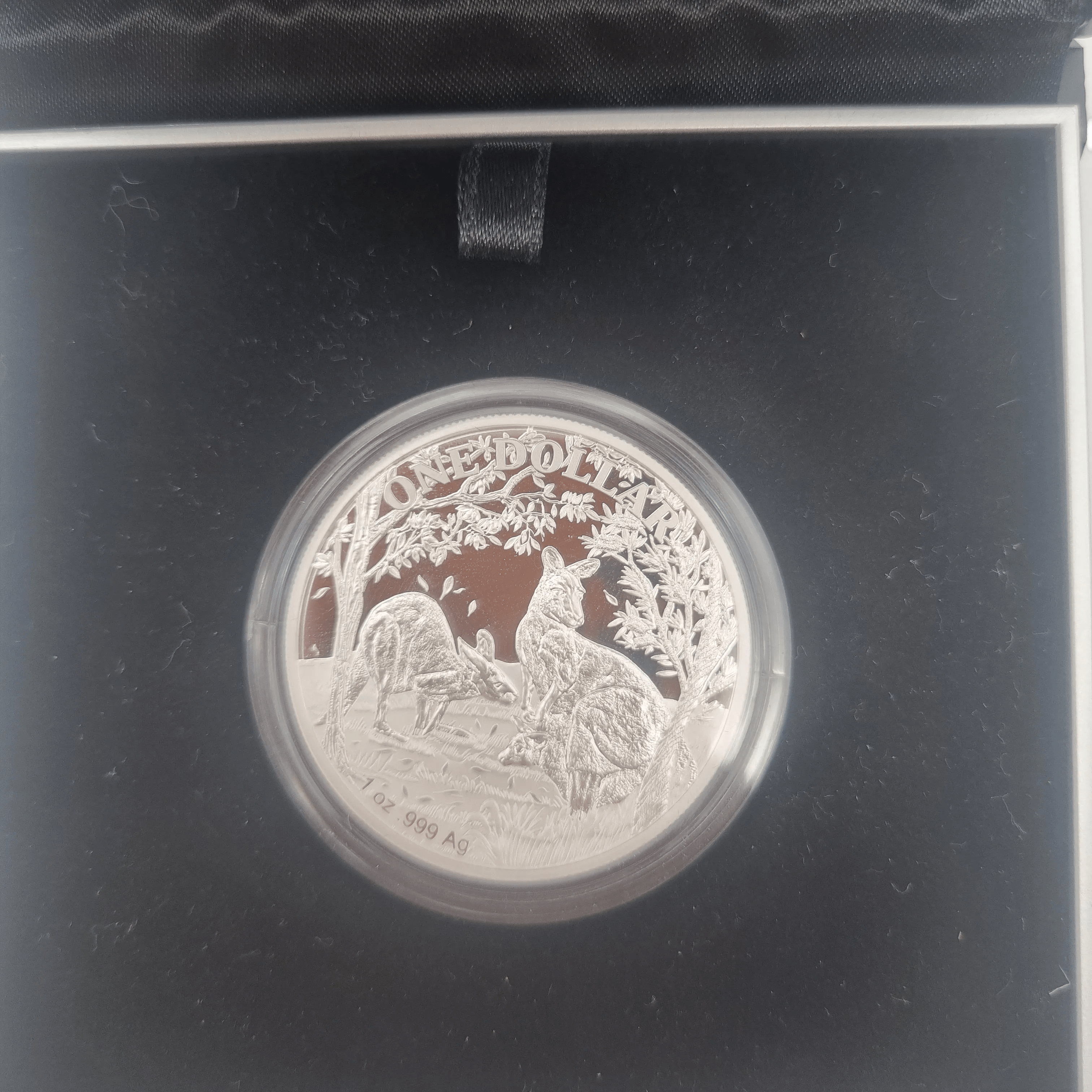 Seasons Change – Kangaroo Series 2019 $1 Fine Silver Proof Coin
