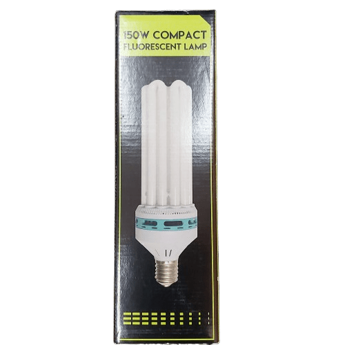 Compact Fluorescent Lamp In Box